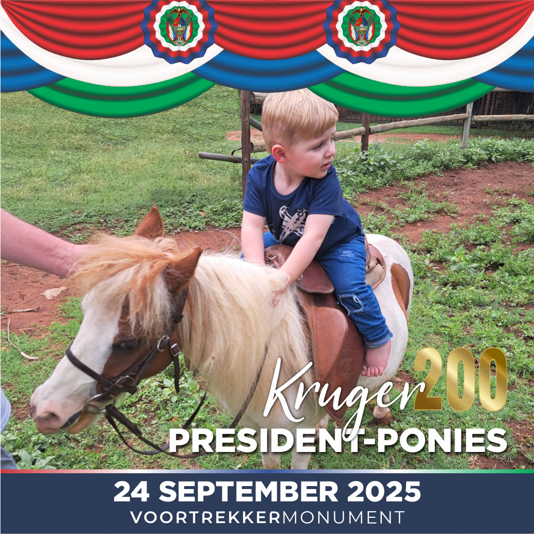Kruger 200 President ponies 1
